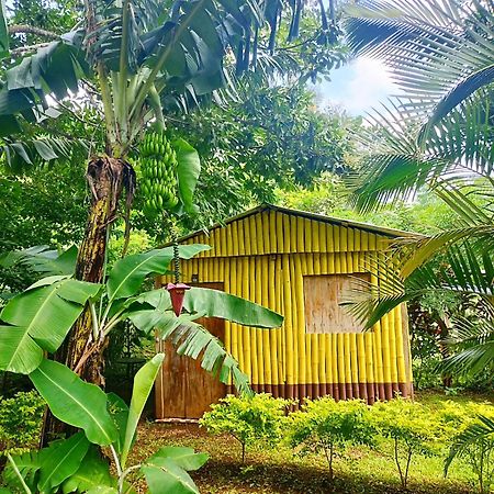 Cabanas Ixaya Катемако Екстериор снимка